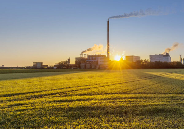 Environmental, Social & Governance Reports